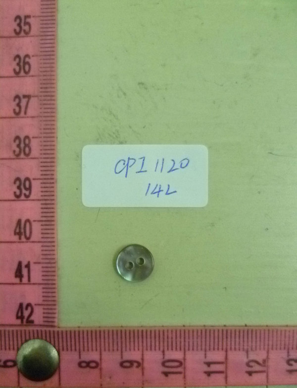CPI1120