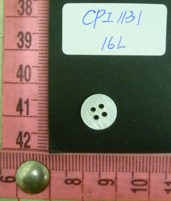 CPI1131