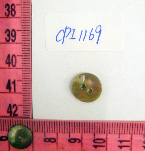 CPI1169