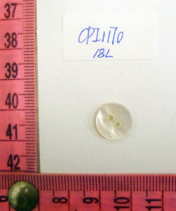 CPI1170
