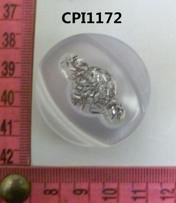 CPI1172