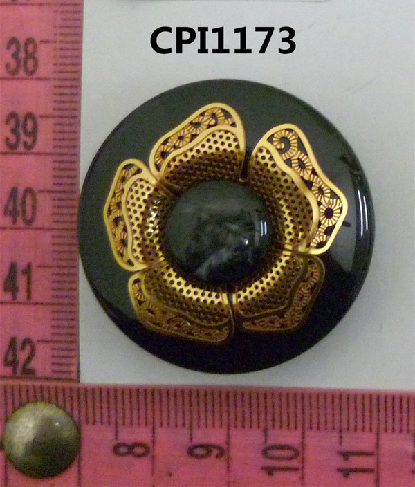 CPI1173