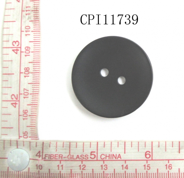 CPI11739