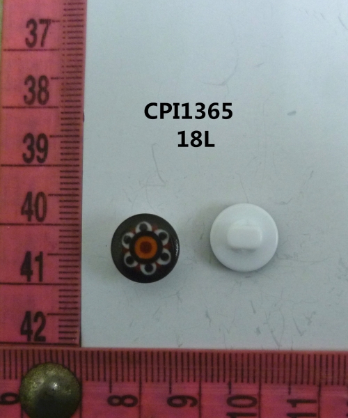 CPI1365