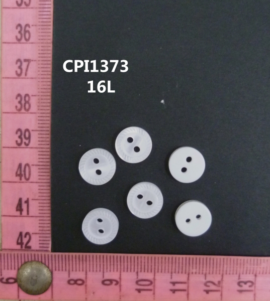 CPI1373