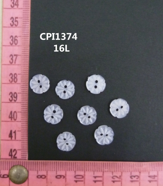 CPI1374
