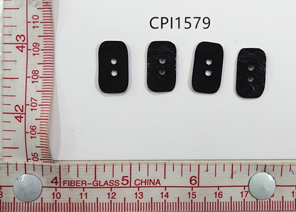 CPI1579