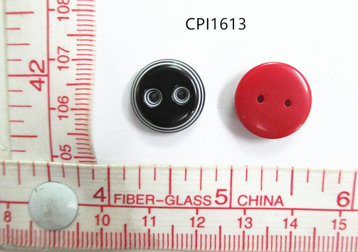 CPI1613