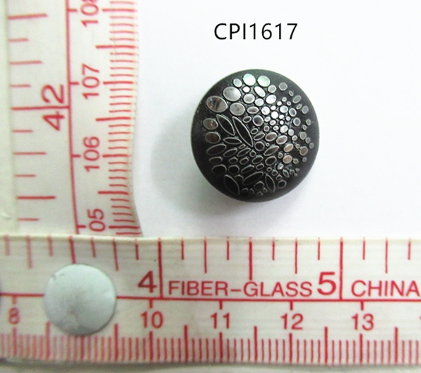CPI1617