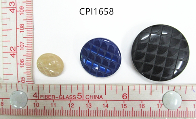 CPI1658