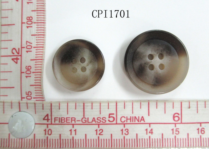 CPI1701