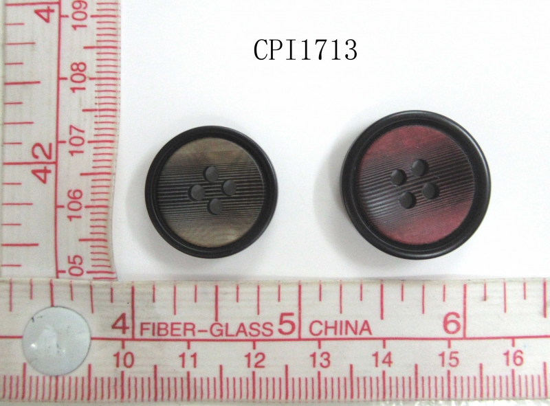 CPI1713
