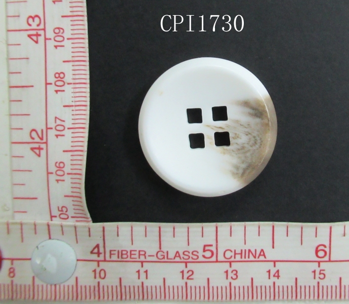 CPI1730