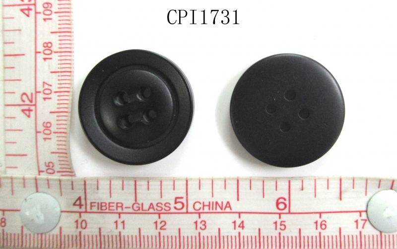 CPI1731