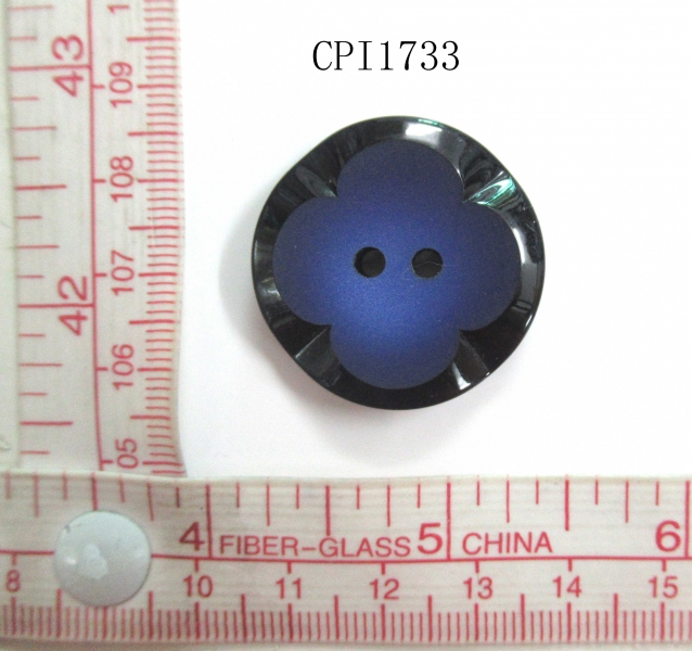 CPI1733