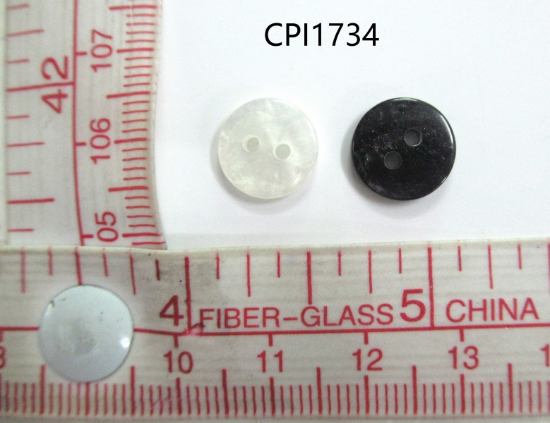 CPI1734