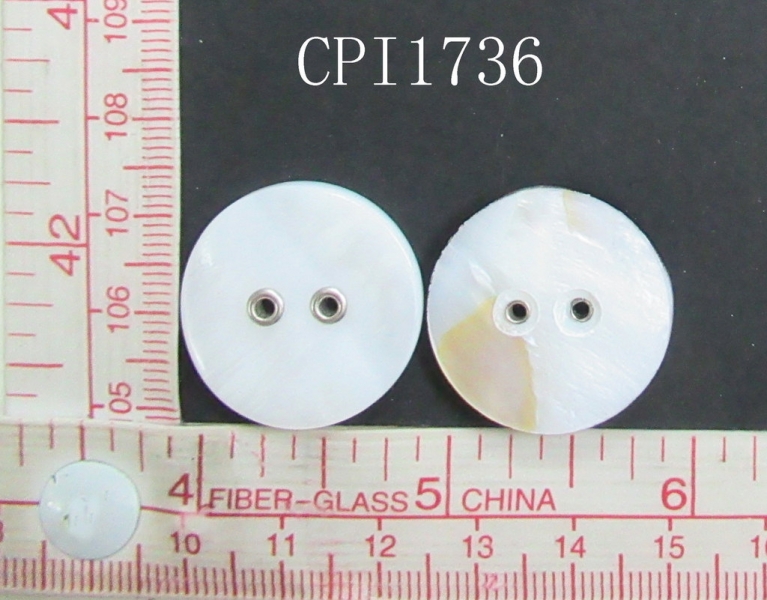 CPI1736