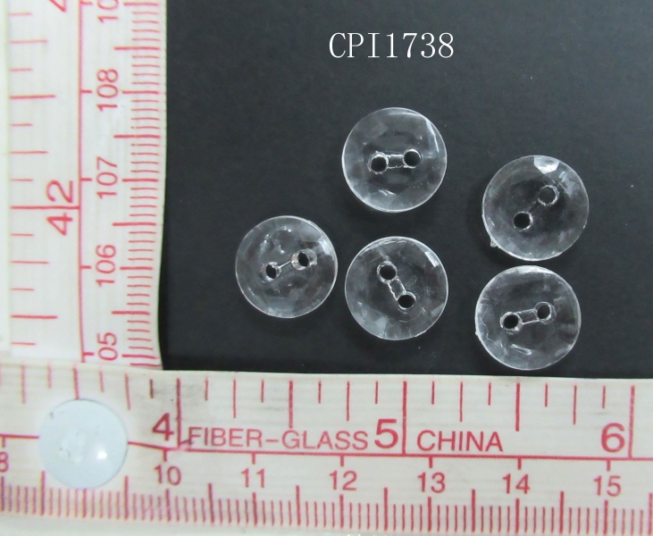 CPI1738