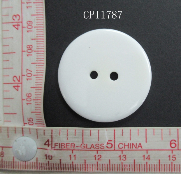 CPI1787