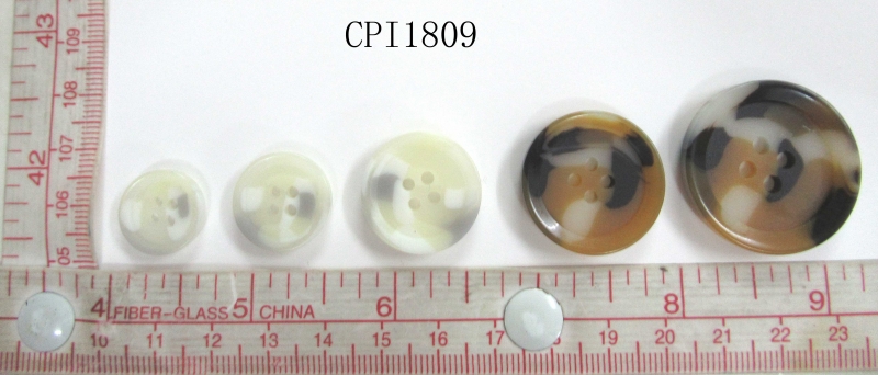 CPI1809
