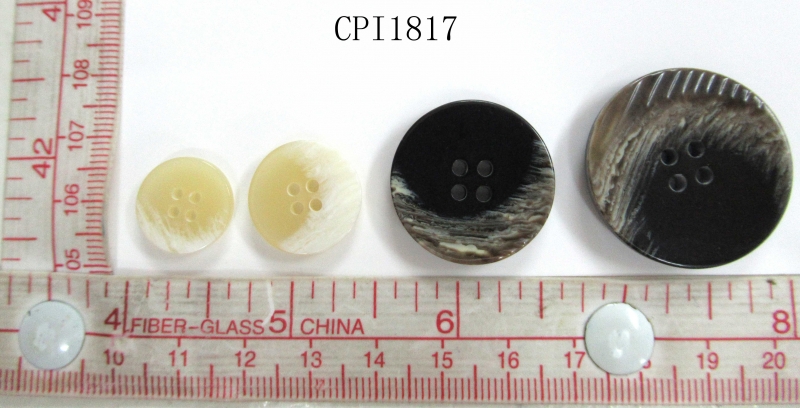 CPI1817