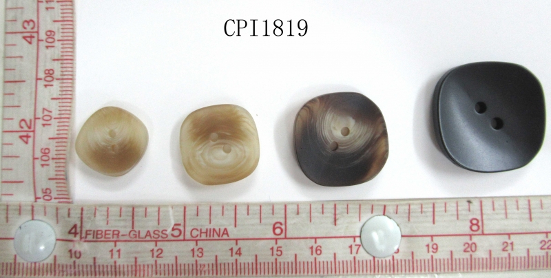 CPI1819