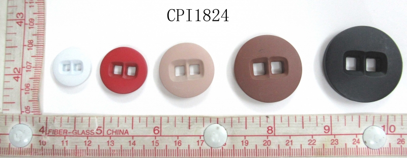CPI1824