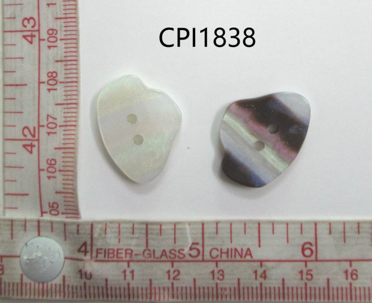 CPI1838