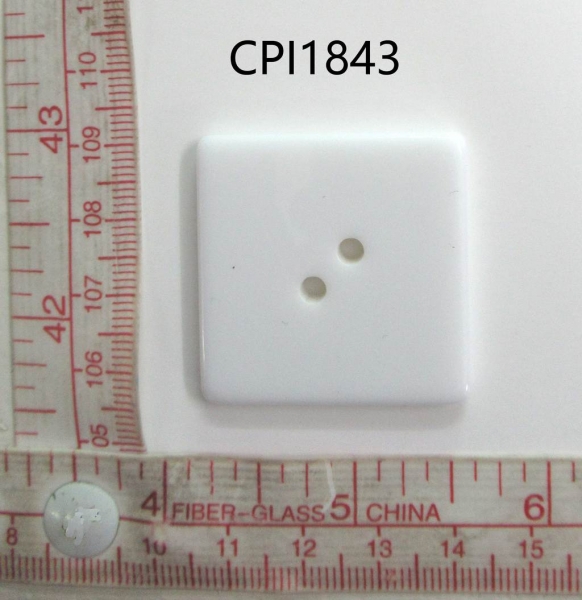 CPI1843