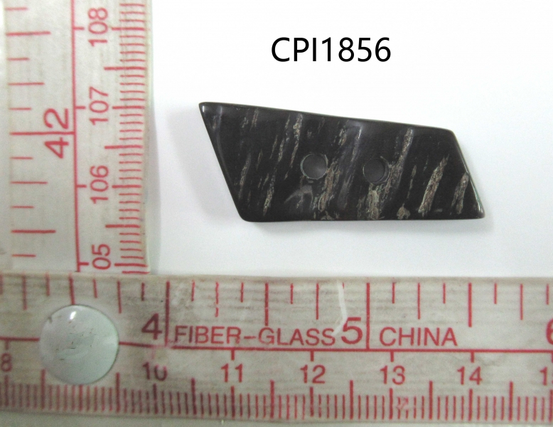 CPI1856