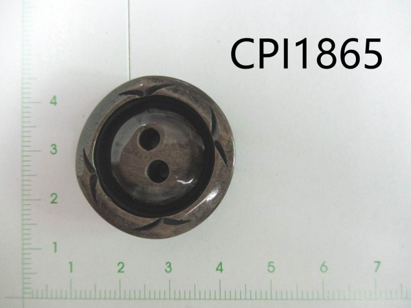 CPI1865