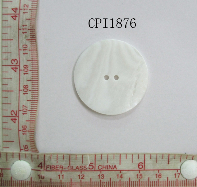 CPI1876