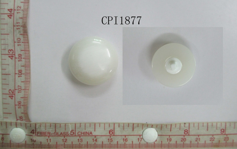 CPI1877