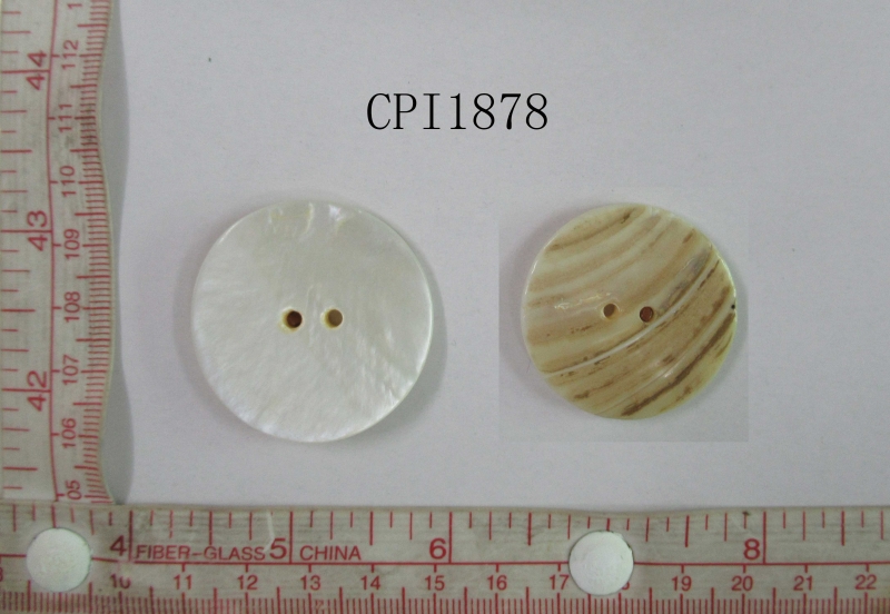 CPI1878
