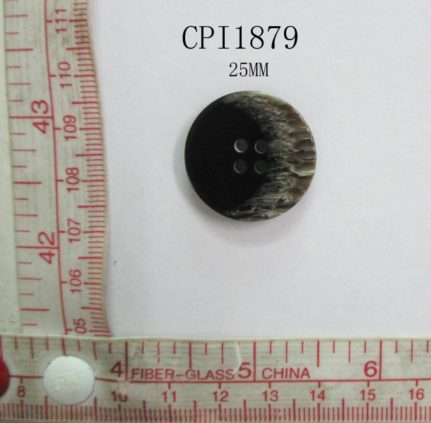 CPI1879