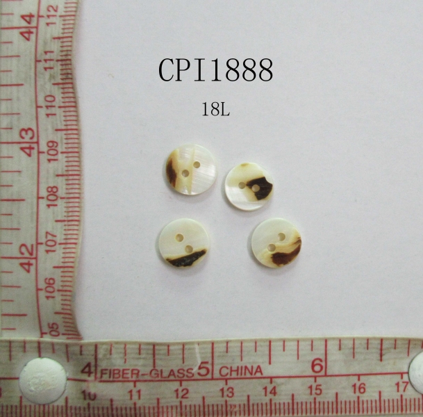 CPI1888