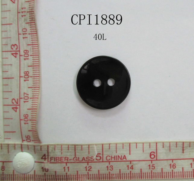 CPI1889