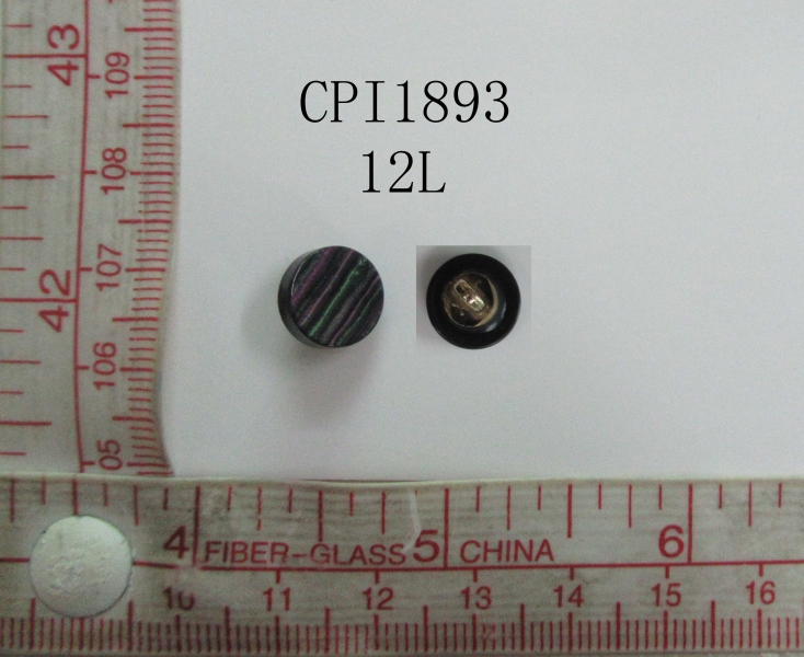 CPI1893
