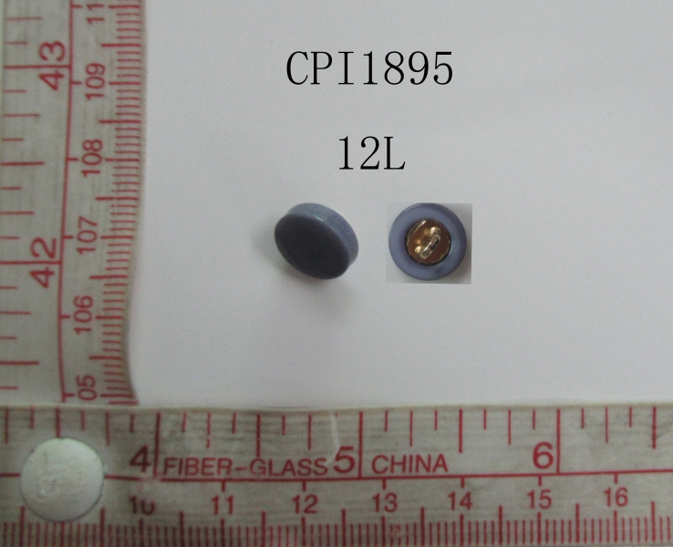 CPI1895