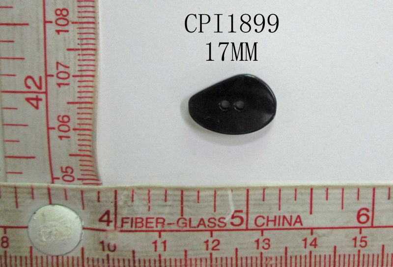 CPI1899