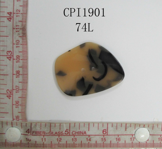 CPI1901