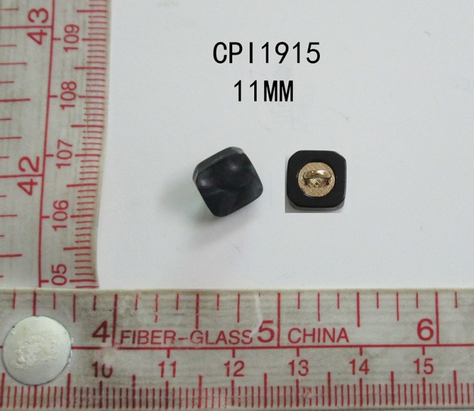 CPI1915