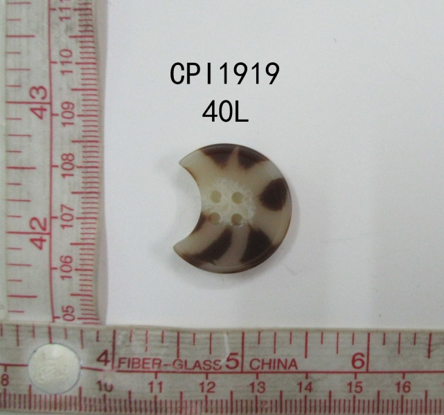 CPI1919
