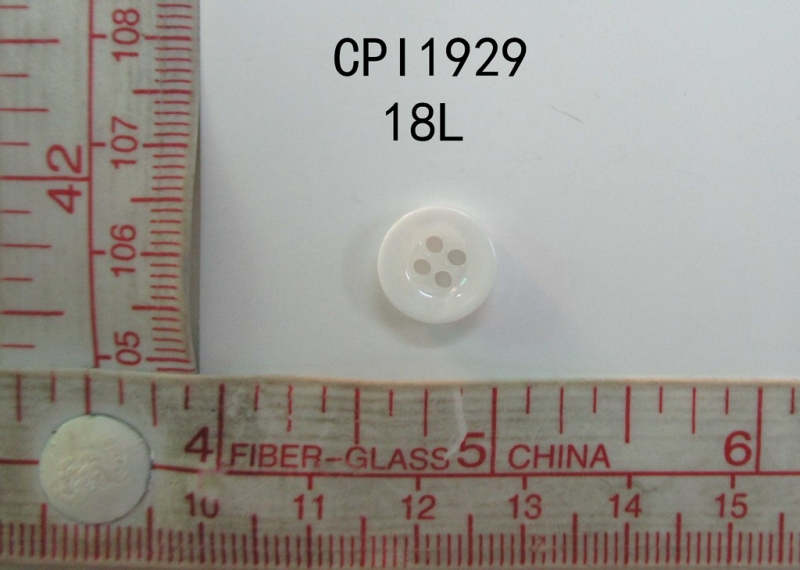 CPI1929