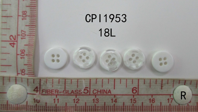 CPI1953