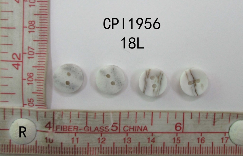 CPI1956