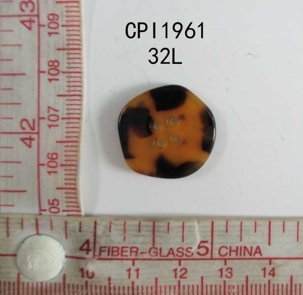 CPI1961