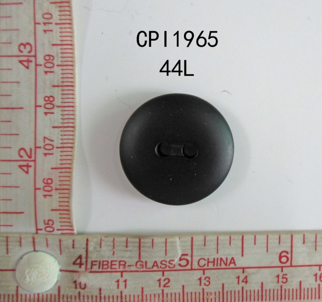 CPI1965