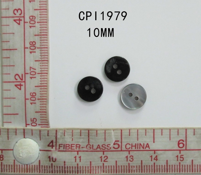 CPI1979