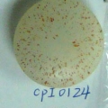 CPI0124